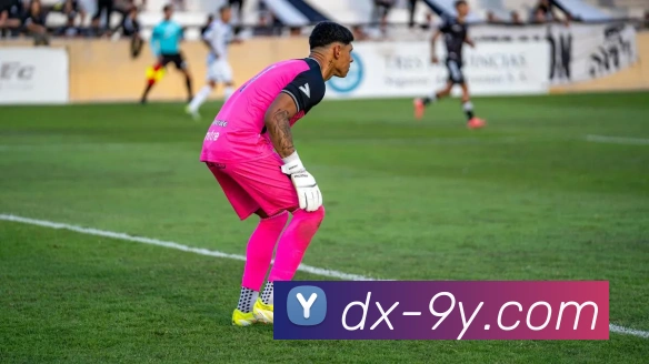 九游官网发展历程